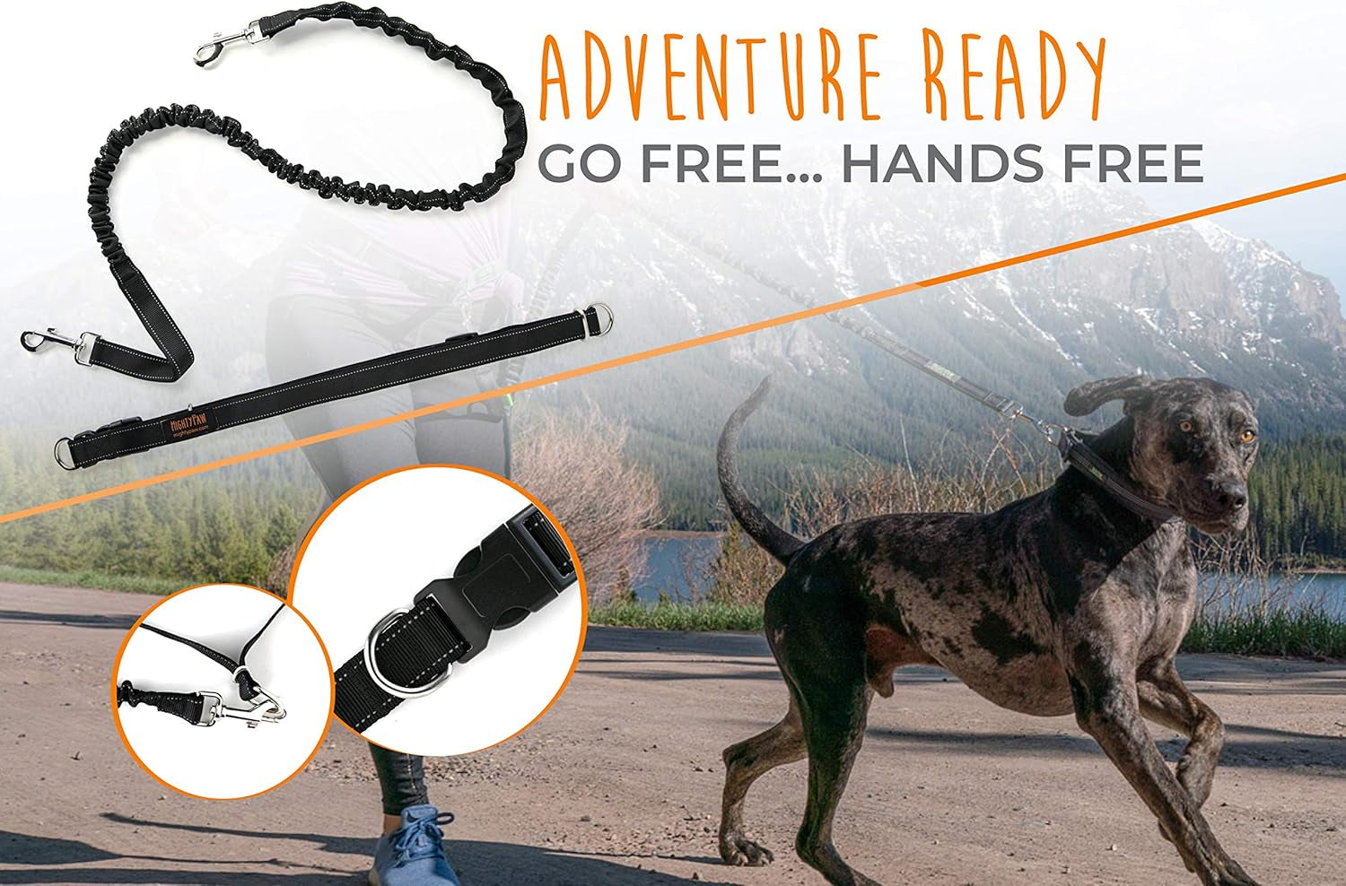 Hands-Free Dog Leash | Adjustable Bungee Waist Leash for Walking and Running with Large, Medium, and Small Breeds | Pet Waist Belt (36" - 48") Supports Up to 150 lbs - Black
