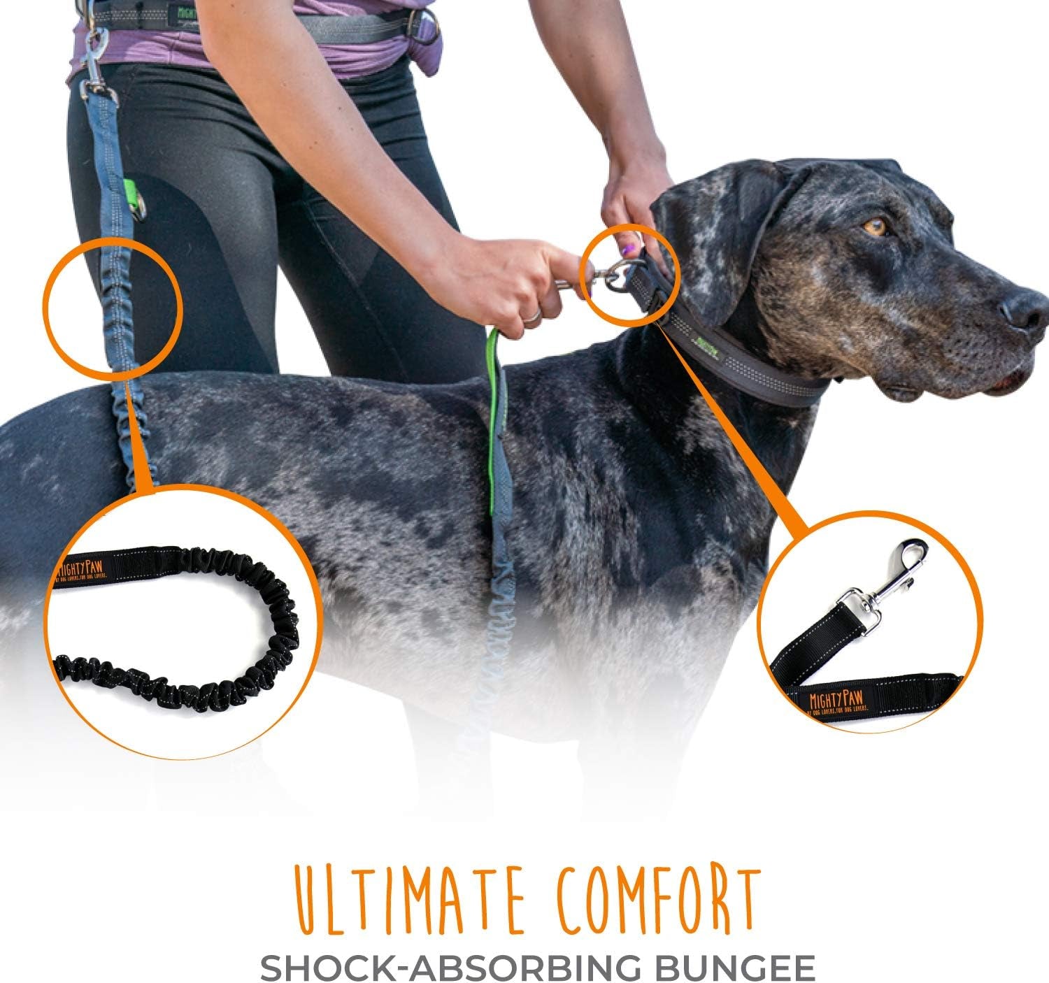 Hands-Free Dog Leash | Adjustable Bungee Waist Leash for Walking and Running with Large, Medium, and Small Breeds | Pet Waist Belt (36" - 48") Supports Up to 150 lbs - Black